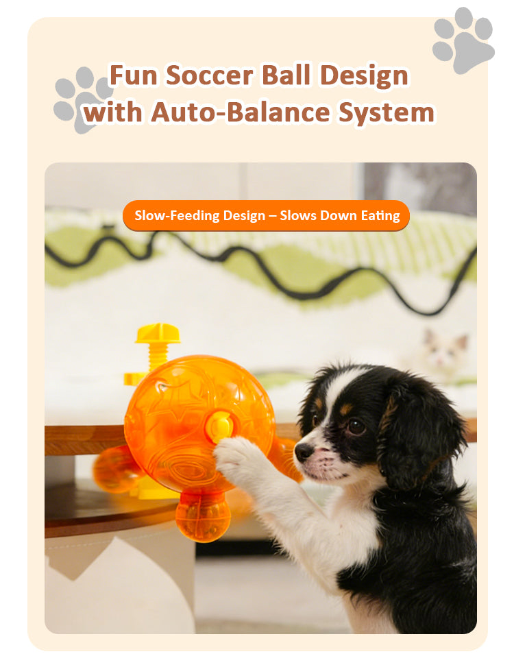 World Cup pet  Feeder