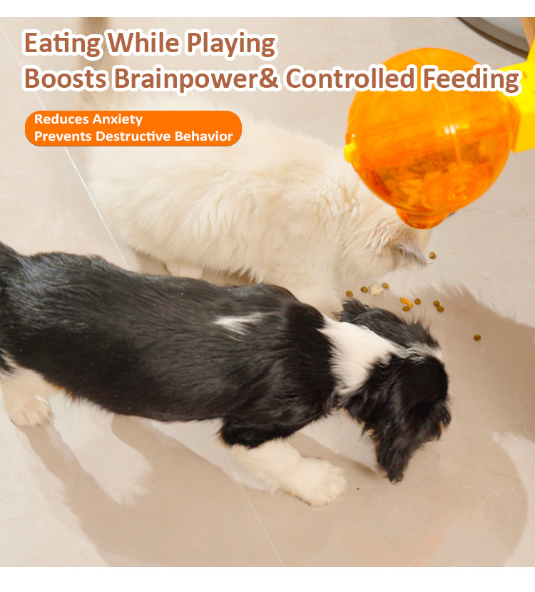 World Cup pet  Feeder