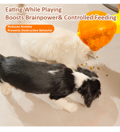 World Cup pet  Feeder